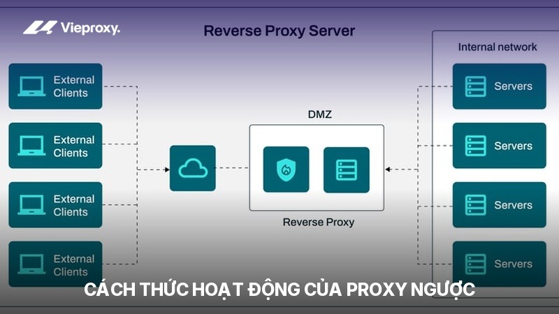 Cách thức hoạt động của proxy ngược