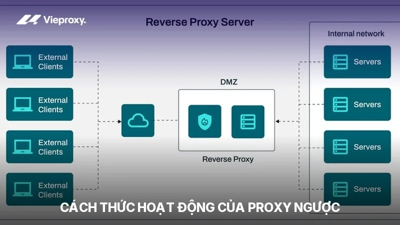 Cách thức hoạt động của proxy ngược