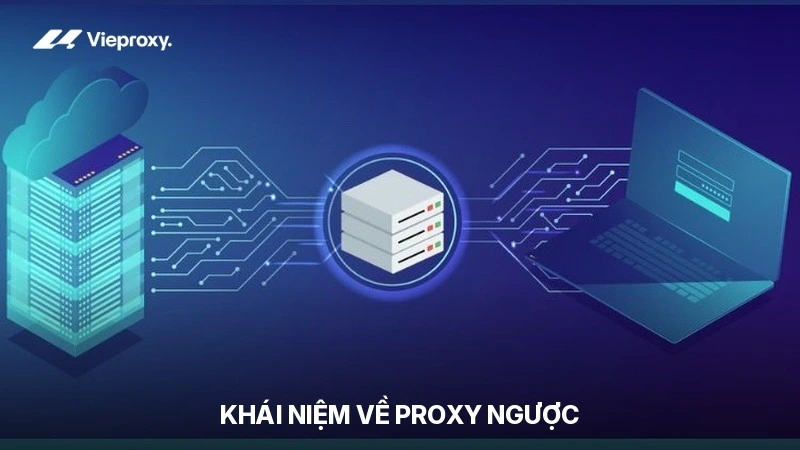 Khái niệm về Proxy ngược