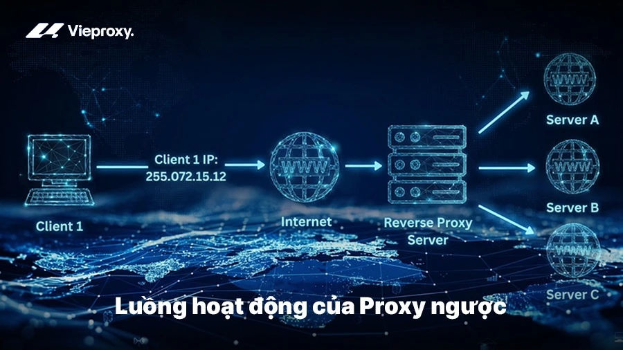 Luồng hoạt động của Proxy ngược