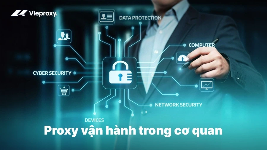 Proxy vận hành trong cơ quan