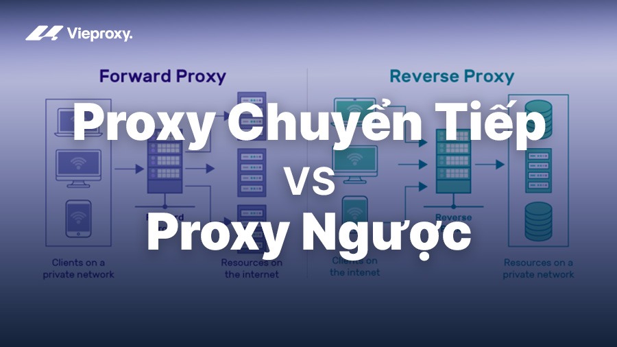 Proxy Chuyển Tiếp vs Proxy Ngược: Cơ Chế Và Cách Chọn Đúng