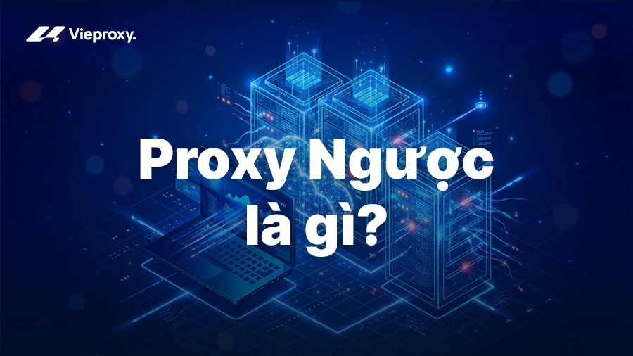 Proxy Ngược là gì? Cách Hoạt Động & Doanh Nghiệp Nào Nên Dùng