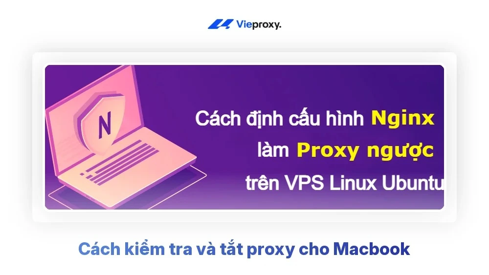 Cách kiểm tra và tắt proxy cho Macbook