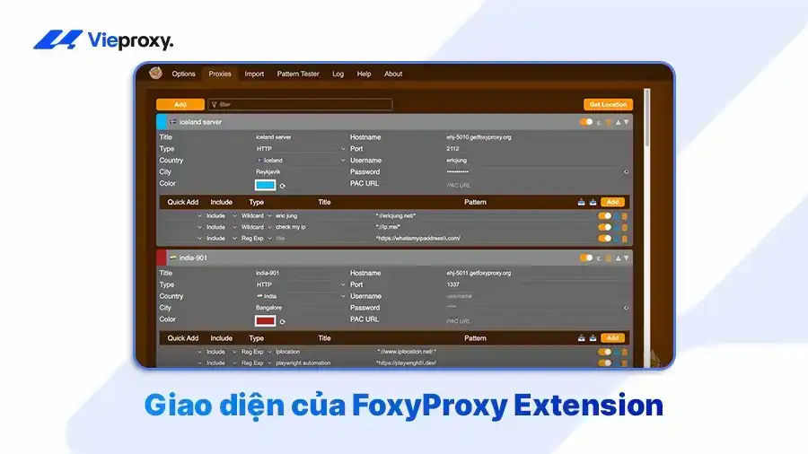 Giao diện của FoxyProxy Extension