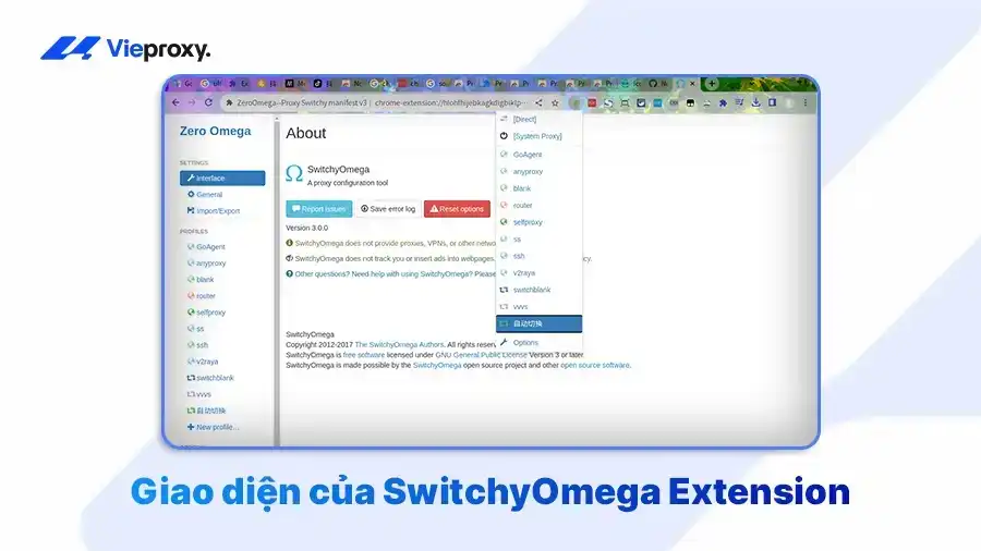 Giao diện của SwitchyOmega Extension