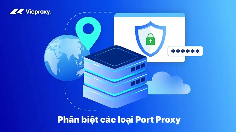Phân biệt các loại Port Proxy