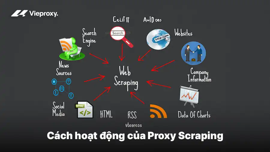 Cách hoạt động của Proxy Scraping