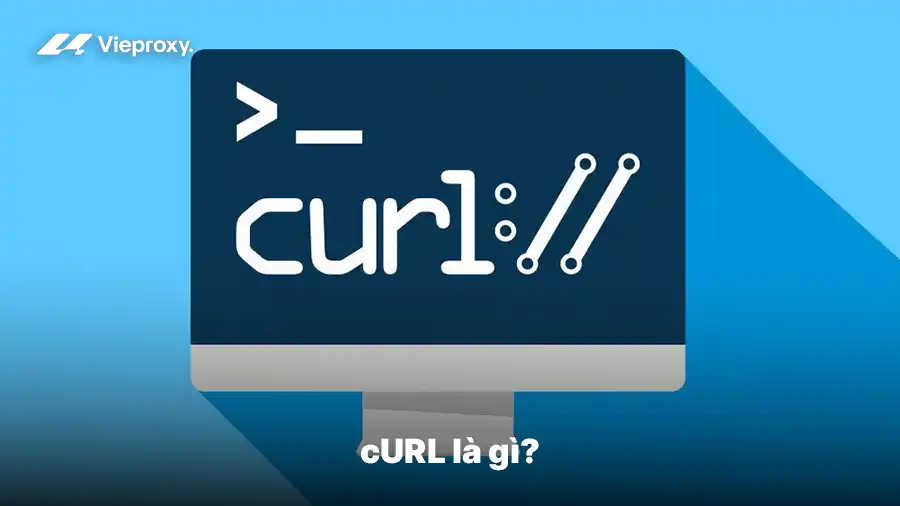 cURL là gì?
