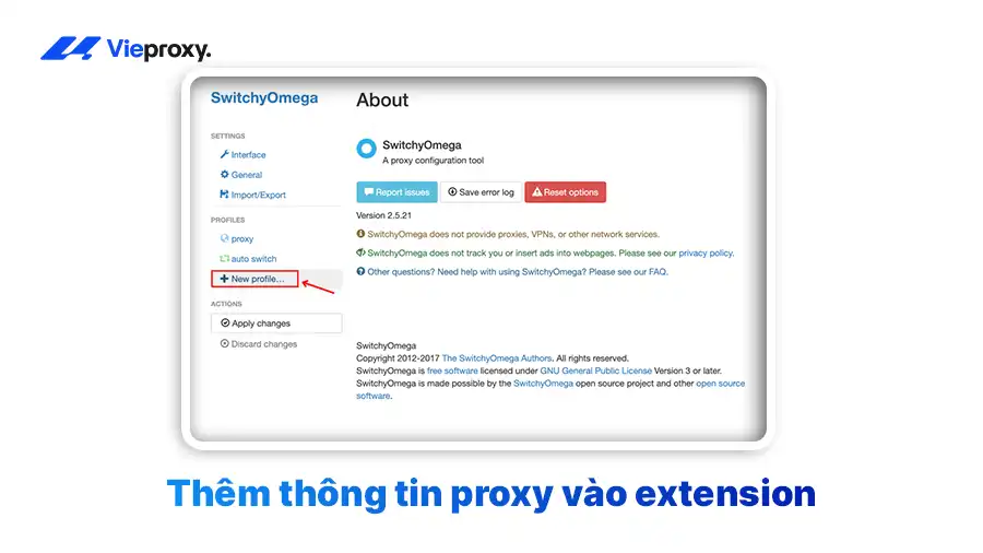 Thêm thông tin proxy vào extension