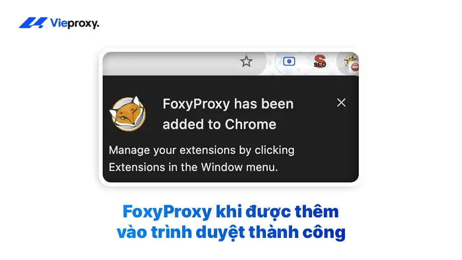 FoxyProxy khi được thêm vào trình duyệt thành công