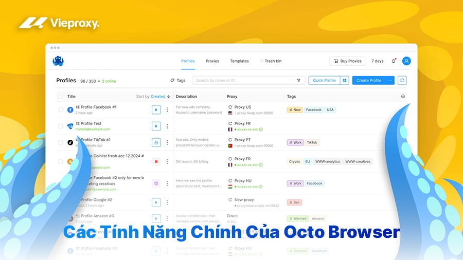 Các Tính Năng Chính Của Octo Browser