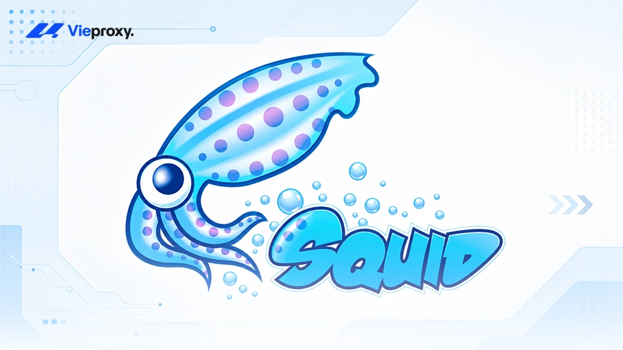 Squid Proxy